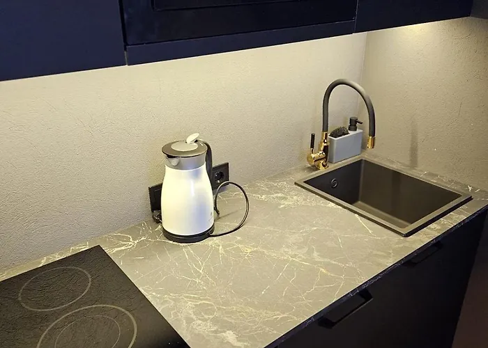 Apartment Black In Palangos Loftai Bright Palanga